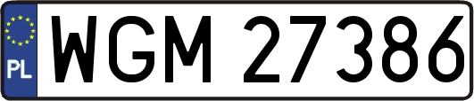 WGM27386