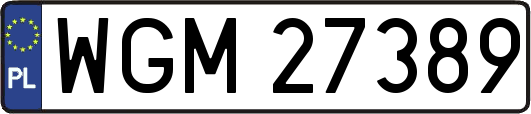 WGM27389