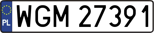 WGM27391