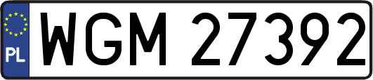 WGM27392