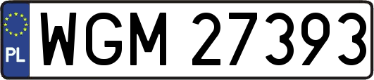 WGM27393