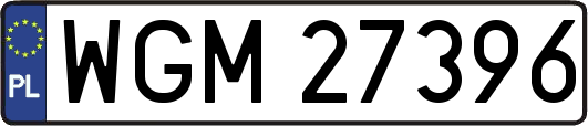 WGM27396