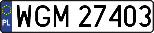 WGM27403