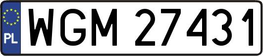 WGM27431