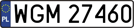 WGM27460