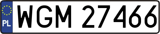 WGM27466
