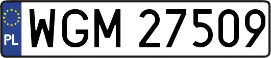 WGM27509