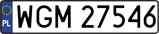 WGM27546