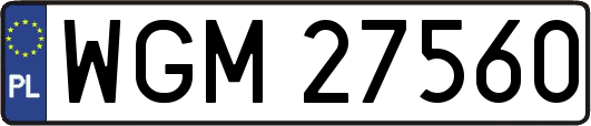 WGM27560