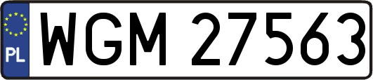 WGM27563