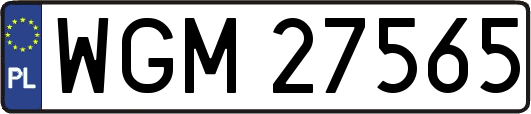 WGM27565