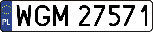 WGM27571