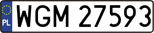 WGM27593