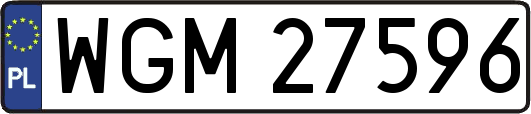 WGM27596