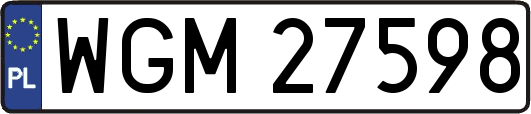 WGM27598