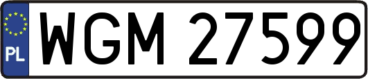 WGM27599
