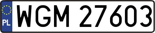 WGM27603