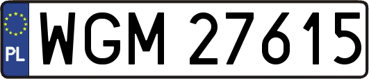 WGM27615