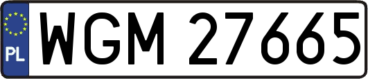 WGM27665
