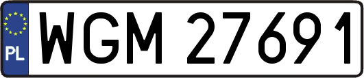 WGM27691