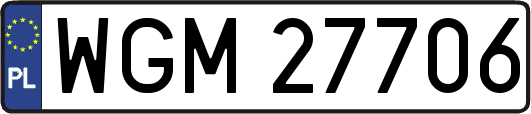 WGM27706