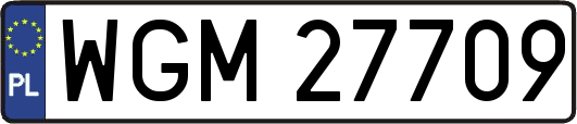 WGM27709