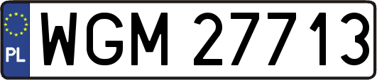 WGM27713