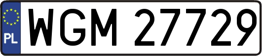 WGM27729