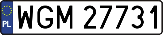 WGM27731