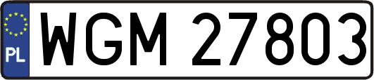 WGM27803
