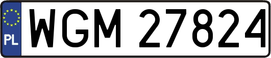 WGM27824