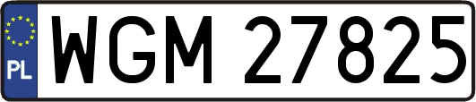 WGM27825