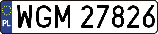 WGM27826