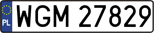 WGM27829