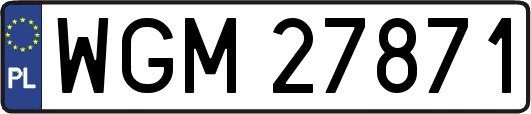 WGM27871