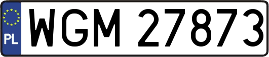 WGM27873