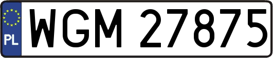 WGM27875