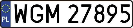 WGM27895