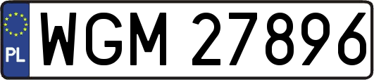 WGM27896