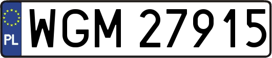 WGM27915