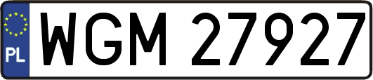 WGM27927