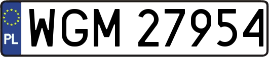 WGM27954
