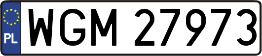 WGM27973