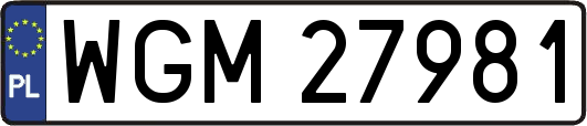 WGM27981
