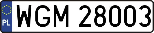 WGM28003