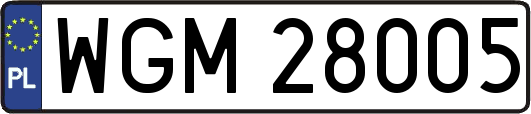 WGM28005