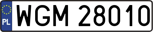 WGM28010