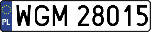 WGM28015