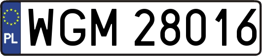 WGM28016