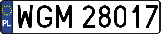 WGM28017